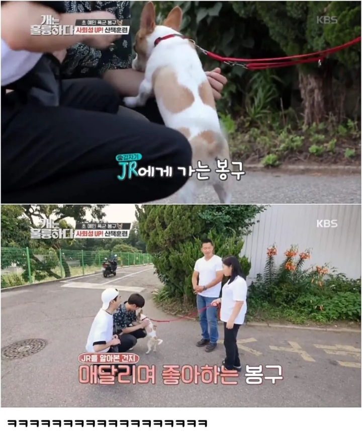 문제견이 있었는데요....없었습니다.jpg | 인스티즈