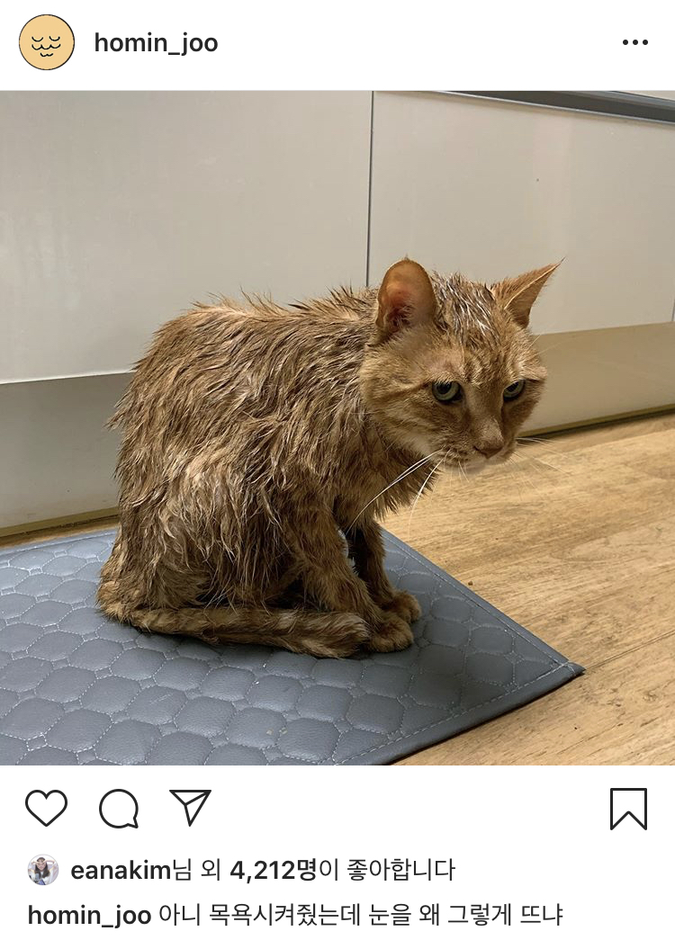 주호민 인스타 | 인스티즈