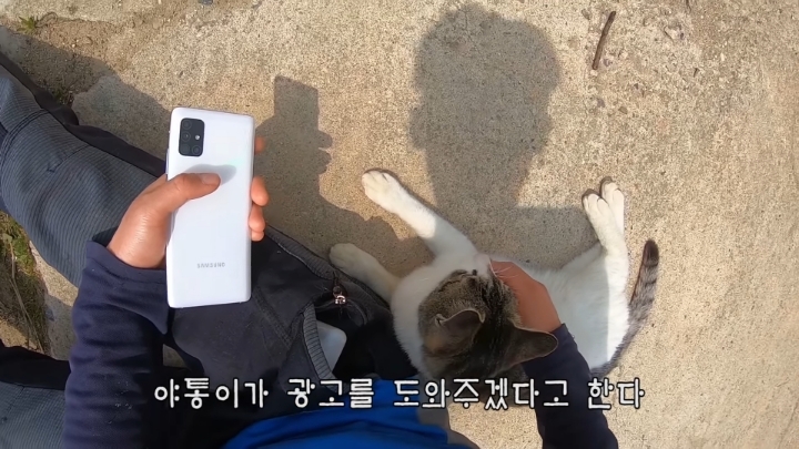 haha ha 앞에서 대놓고 광고하는데 거부감이 없다 | 인스티즈