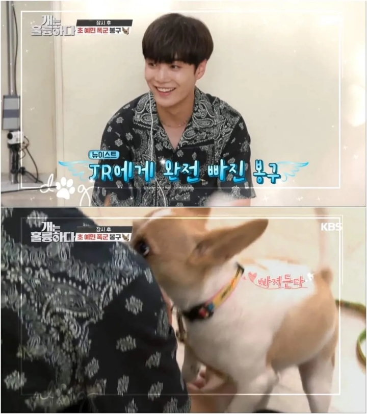 문제견이 있었는데요....없었습니다.jpg | 인스티즈