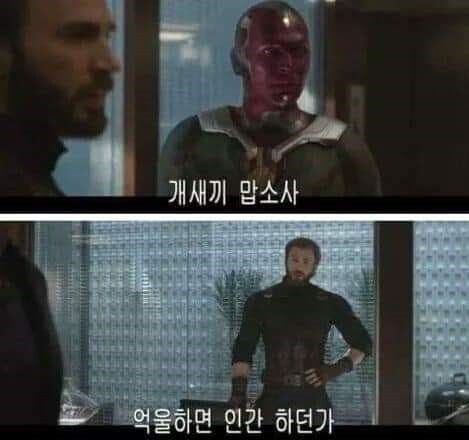 인피니티 워 타노스 긴급 회의.jpg (욕설 주의) | 인스티즈