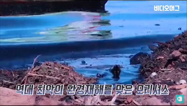 일본 선박 때문에 역대 최악의 환경재해를 겪고 있는 모리셔스.jpg | 인스티즈