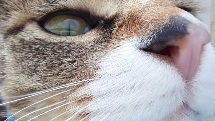 haha ha 앞에서 대놓고 광고하는데 거부감이 없다 | 인스티즈