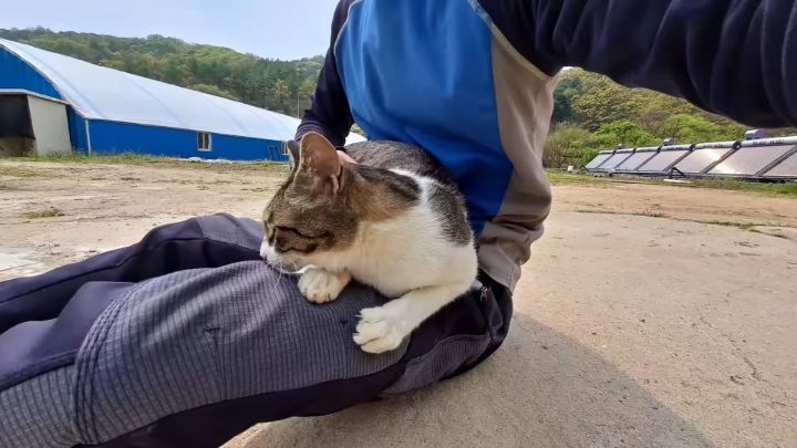 haha ha 앞에서 대놓고 광고하는데 거부감이 없다 | 인스티즈