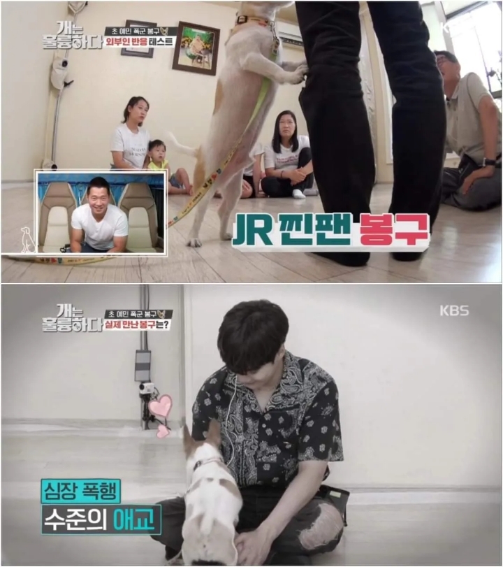 문제견이 있었는데요....없었습니다.jpg | 인스티즈