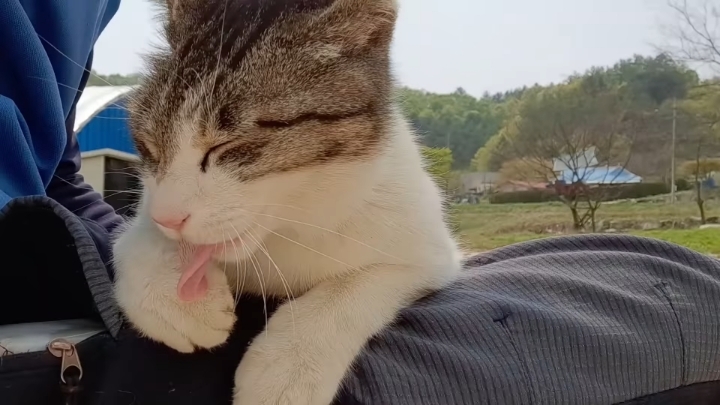 haha ha 앞에서 대놓고 광고하는데 거부감이 없다 | 인스티즈