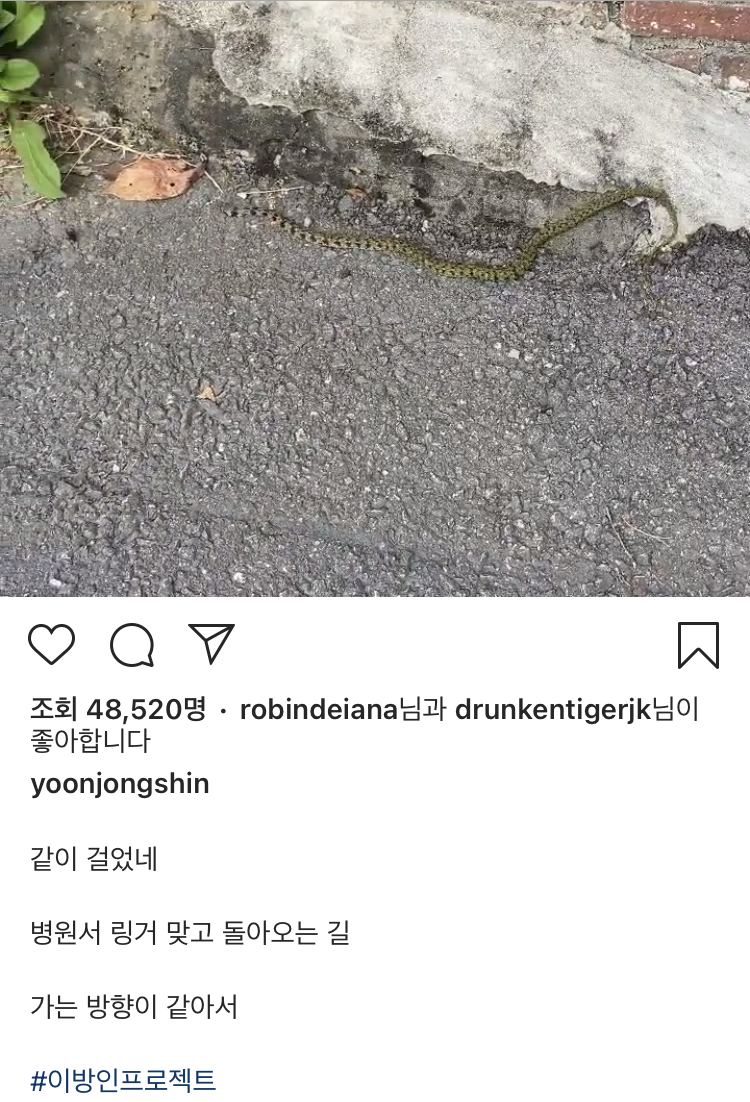 뱀 발견한 윤종신 | 인스티즈