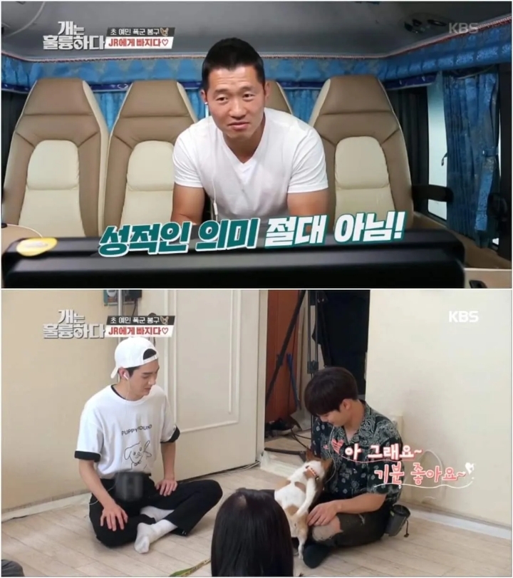 문제견이 있었는데요....없었습니다.jpg | 인스티즈