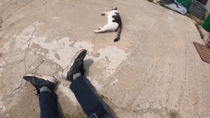 haha ha 앞에서 대놓고 광고하는데 거부감이 없다 | 인스티즈