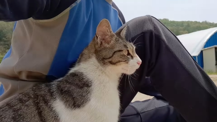 haha ha 앞에서 대놓고 광고하는데 거부감이 없다 | 인스티즈
