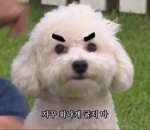 거참 이미지