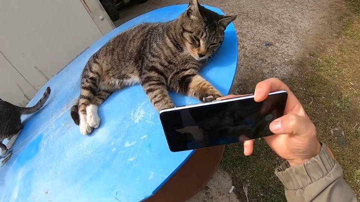 haha ha 앞에서 대놓고 광고하는데 거부감이 없다 | 인스티즈