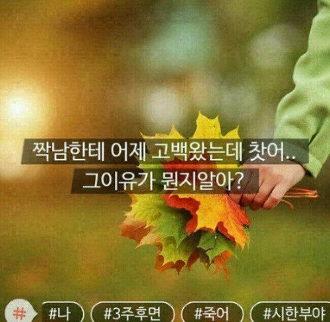 그시절 모씨 감성 레전드.jpg (소름주의) | 인스티즈