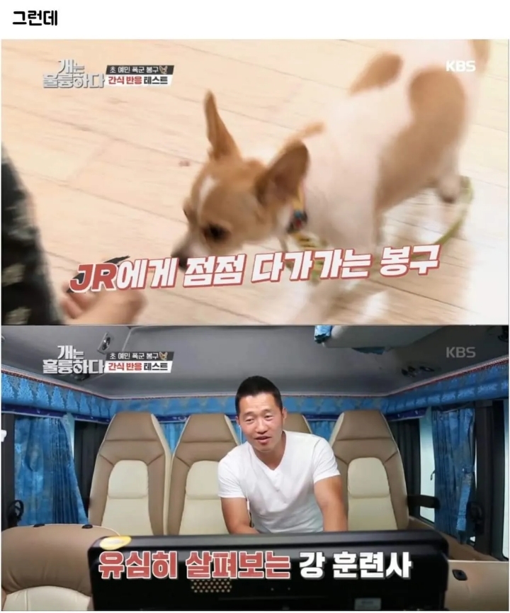 문제견이 있었는데요....없었습니다.jpg | 인스티즈