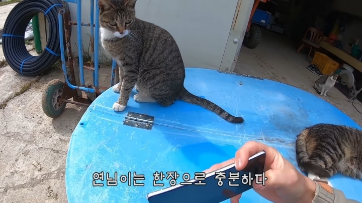 haha ha 앞에서 대놓고 광고하는데 거부감이 없다 | 인스티즈