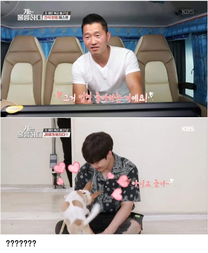 문제견이 있었는데요....없었습니다.jpg | 인스티즈