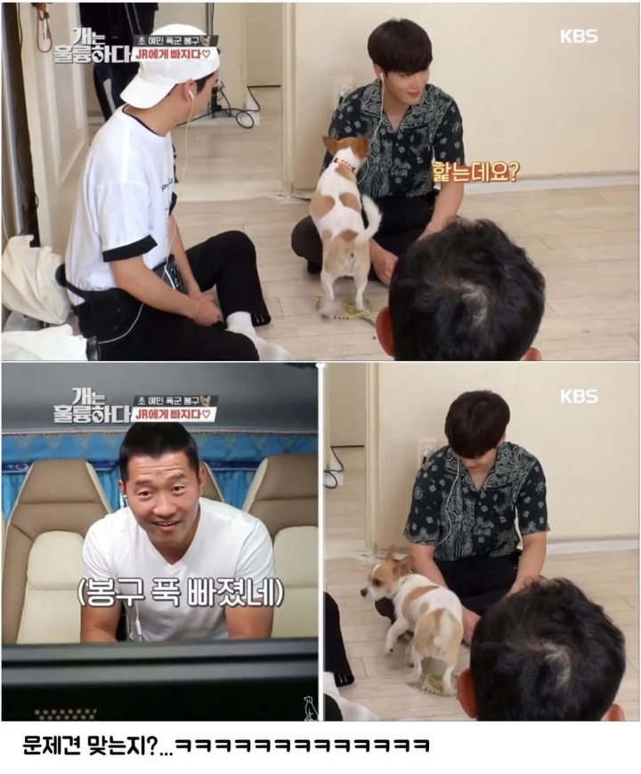 문제견이 있었는데요....없었습니다.jpg | 인스티즈