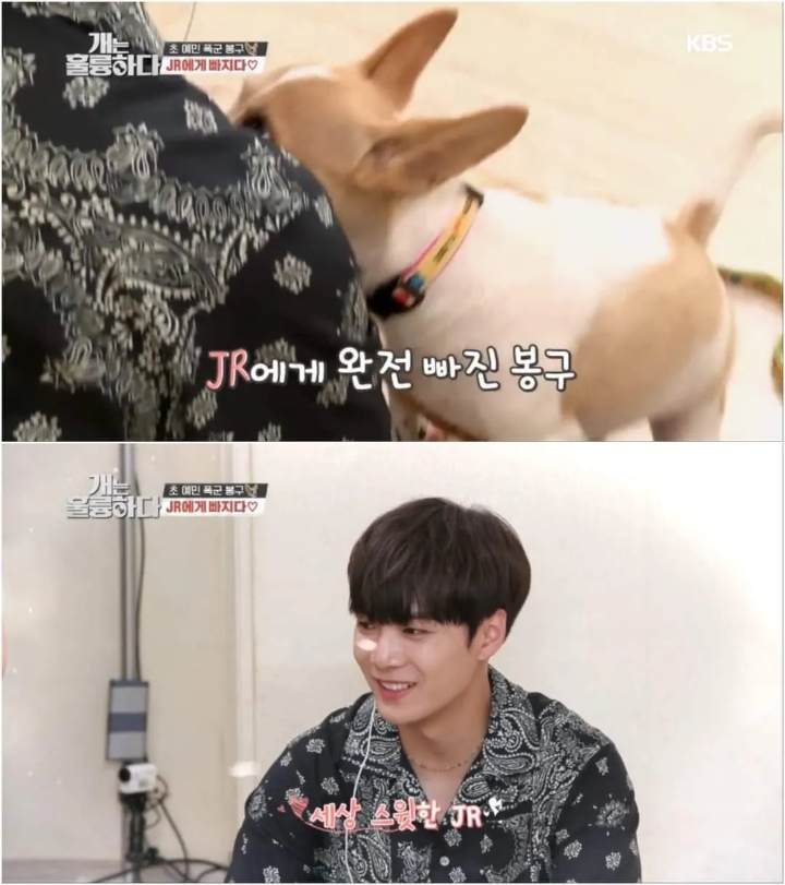 문제견이 있었는데요....없었습니다.jpg | 인스티즈