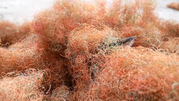 haha ha 야통이 vlog | 인스티즈