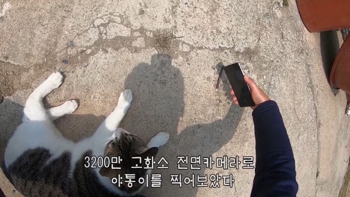 haha ha 앞에서 대놓고 광고하는데 거부감이 없다 | 인스티즈