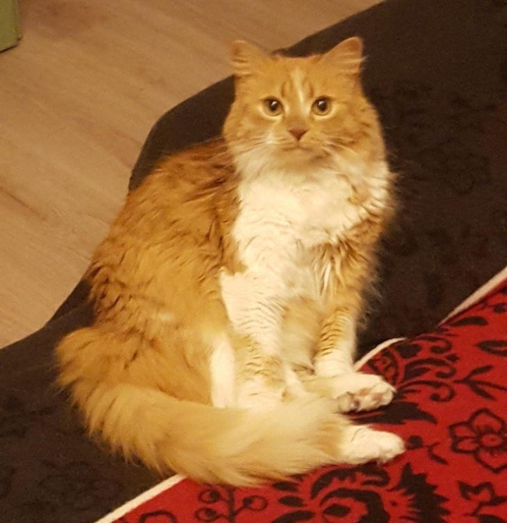 신기한 착시현상.jpg | 인스티즈