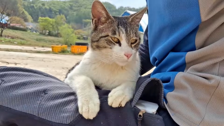 haha ha 앞에서 대놓고 광고하는데 거부감이 없다 | 인스티즈