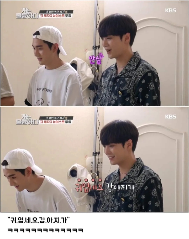 문제견이 있었는데요....없었습니다.jpg | 인스티즈