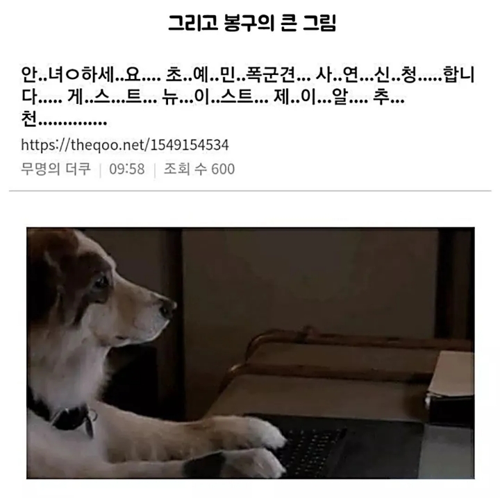 문제견이 있었는데요....없었습니다.jpg | 인스티즈