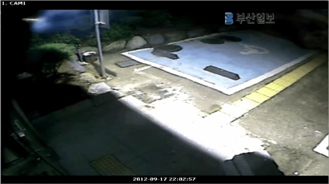 주차단속 불만표출 레전드.gif | 인스티즈