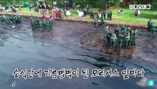 일본 선박 때문에 역대 최악의 환경재해를 겪고 있는 모리셔스.jpg | 인스티즈