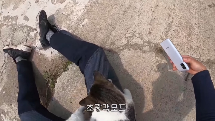 haha ha 앞에서 대놓고 광고하는데 거부감이 없다 | 인스티즈