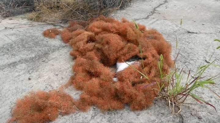 haha ha 야통이 vlog | 인스티즈