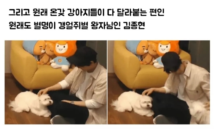 문제견이 있었는데요....없었습니다.jpg | 인스티즈