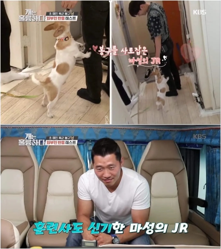 문제견이 있었는데요....없었습니다.jpg | 인스티즈