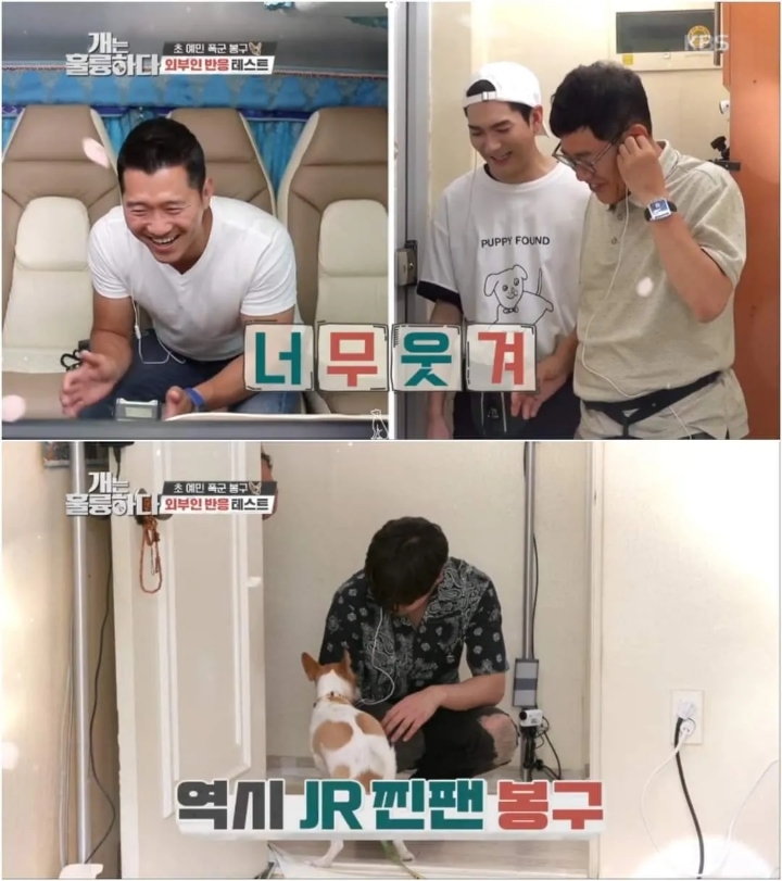 문제견이 있었는데요....없었습니다.jpg | 인스티즈