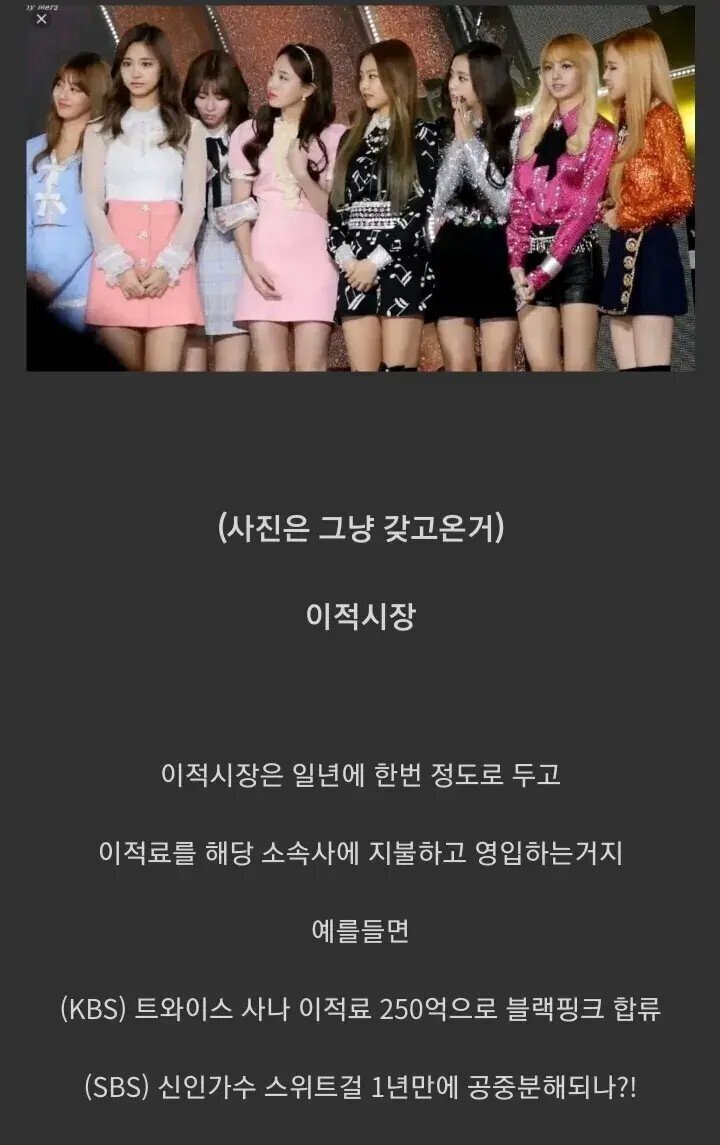 아이돌 시장에 나오면 난리날 제도.jpg | 인스티즈