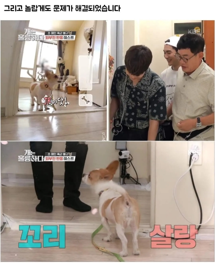 문제견이 있었는데요....없었습니다.jpg | 인스티즈