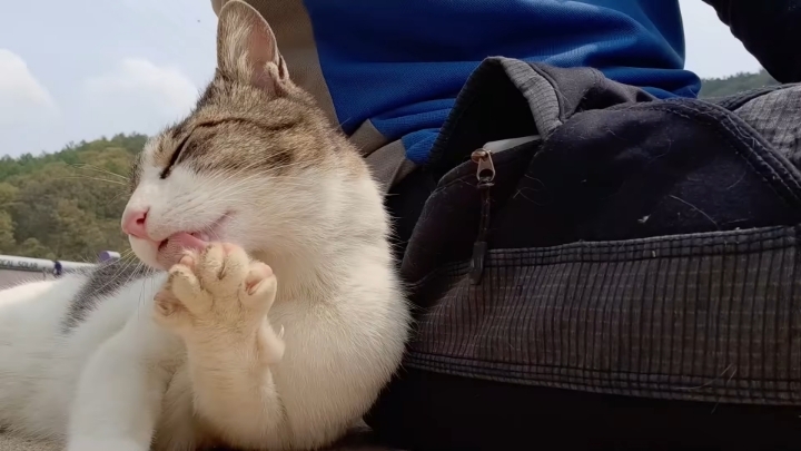 haha ha 앞에서 대놓고 광고하는데 거부감이 없다 | 인스티즈