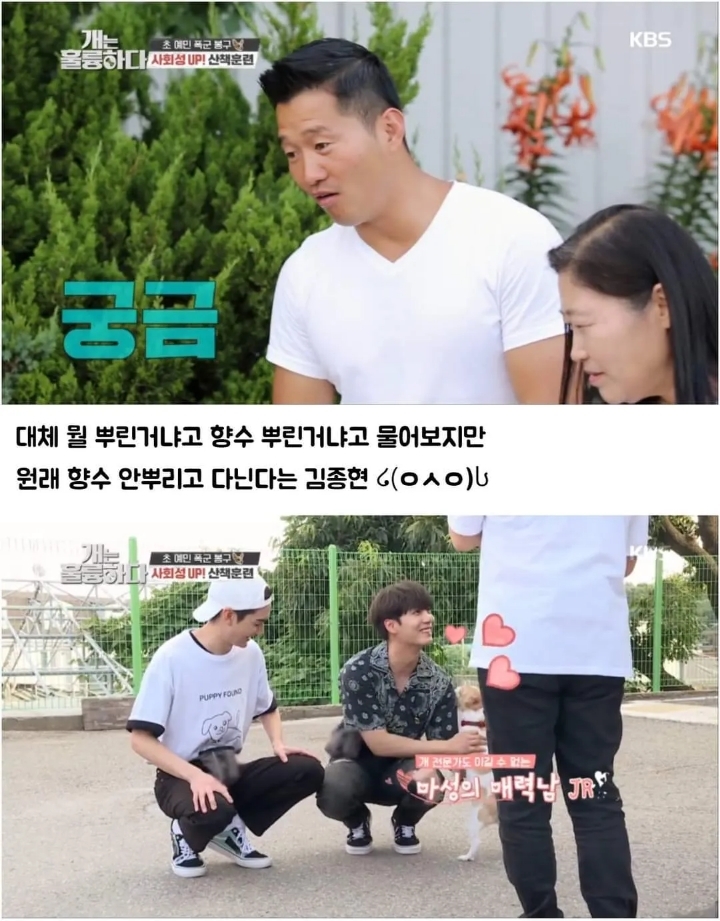 문제견이 있었는데요....없었습니다.jpg | 인스티즈