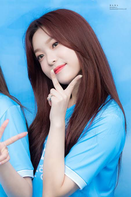 대구의 딸들 | 인스티즈