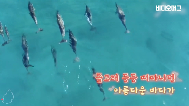 일본 선박 때문에 역대 최악의 환경재해를 겪고 있는 모리셔스.jpg | 인스티즈