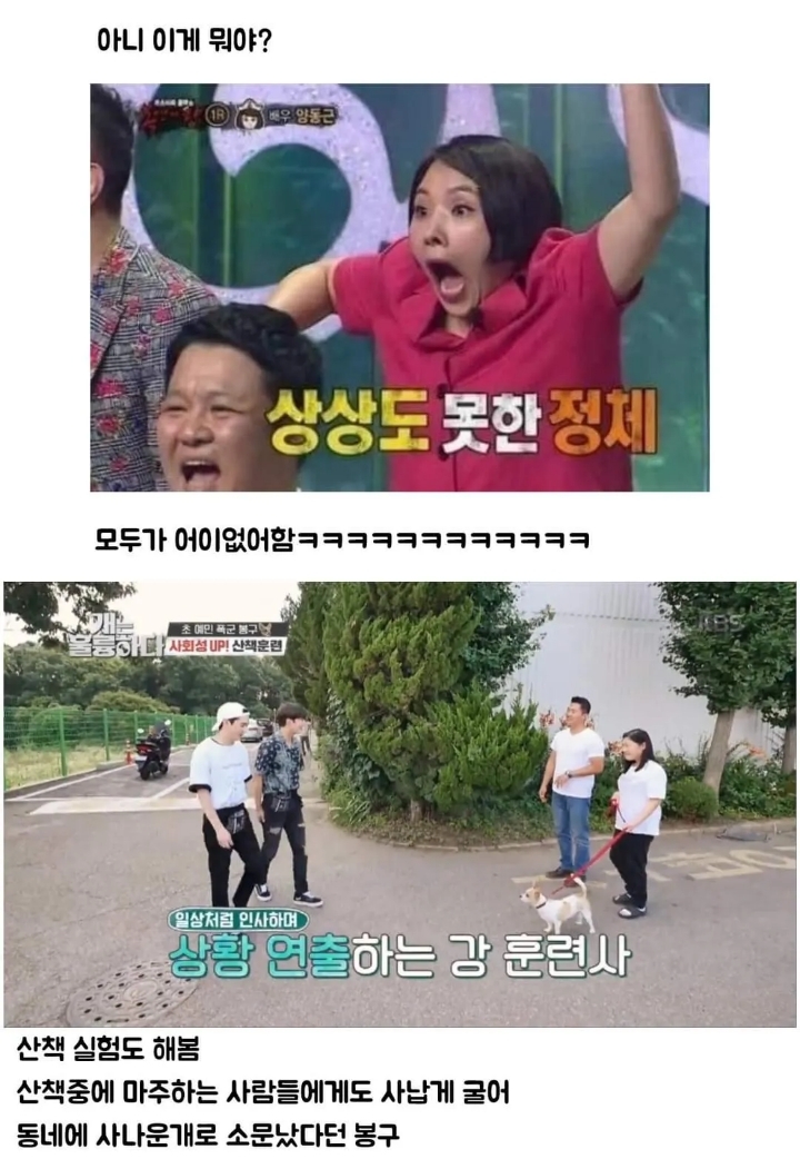 문제견이 있었는데요....없었습니다.jpg | 인스티즈