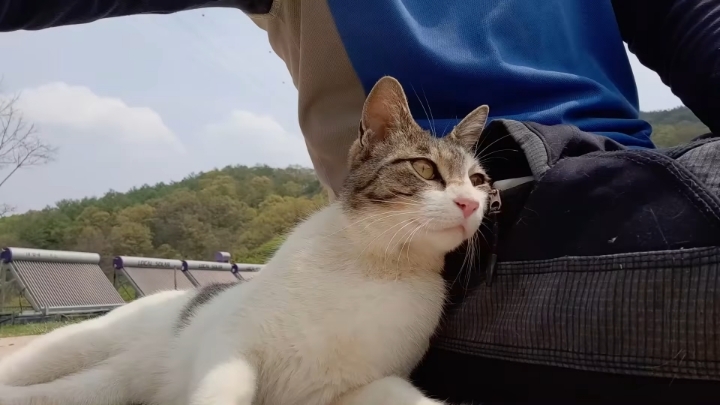haha ha 앞에서 대놓고 광고하는데 거부감이 없다 | 인스티즈