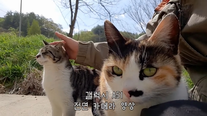 haha ha 앞에서 대놓고 광고하는데 거부감이 없다 | 인스티즈