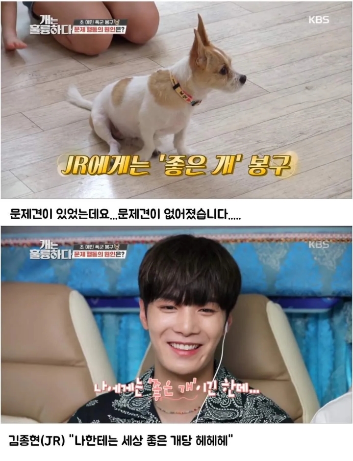 문제견이 있었는데요....없었습니다.jpg | 인스티즈