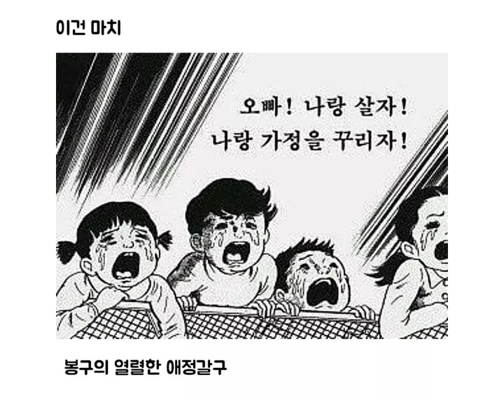 문제견이 있었는데요....없었습니다.jpg | 인스티즈