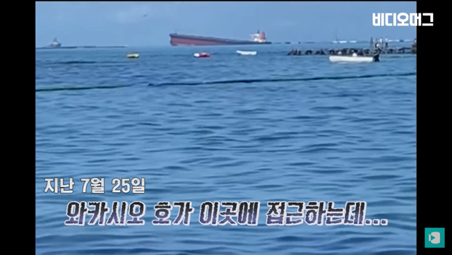 일본 선박 때문에 역대 최악의 환경재해를 겪고 있는 모리셔스.jpg | 인스티즈