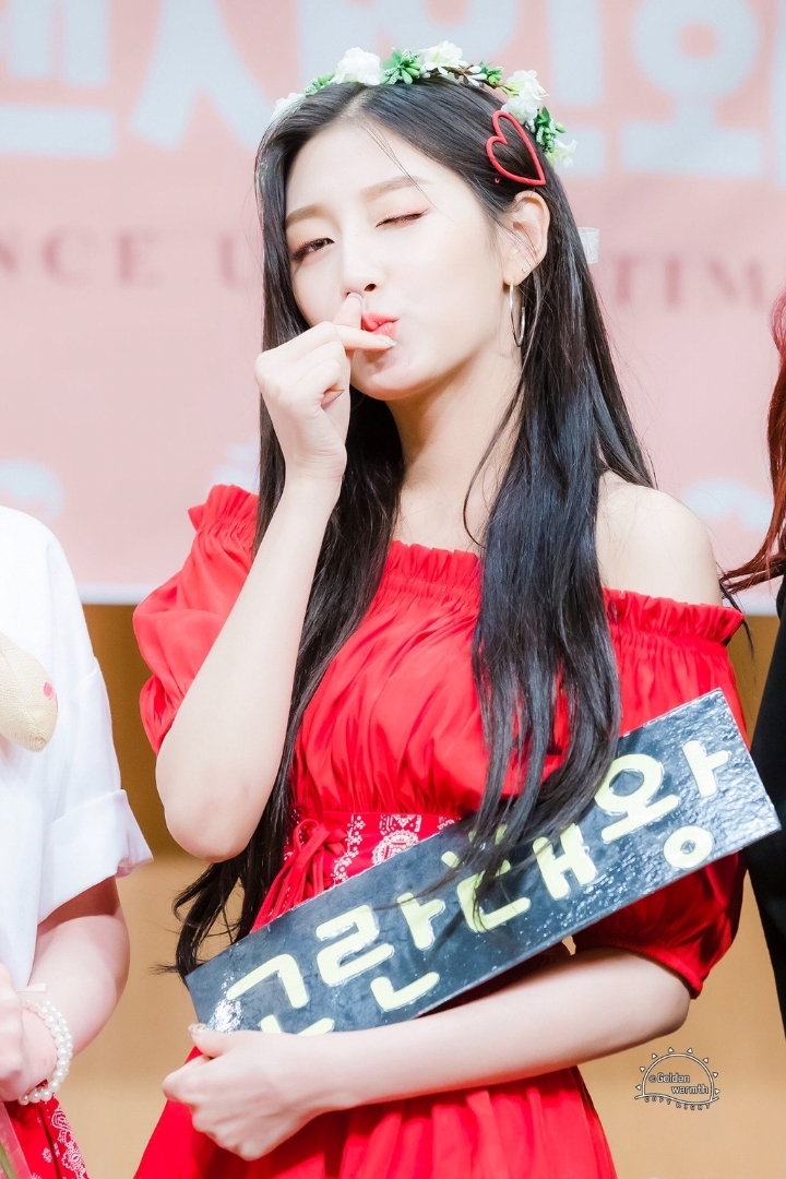 고란 이미지
