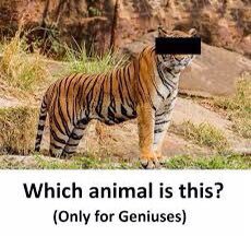 천재들만 맞힐 수 있는 문제 : 이 동물은 무엇입니까? | 인스티즈