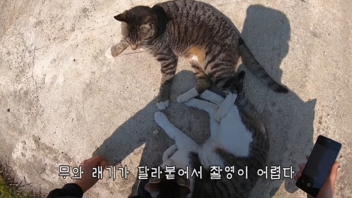 haha ha 앞에서 대놓고 광고하는데 거부감이 없다 | 인스티즈